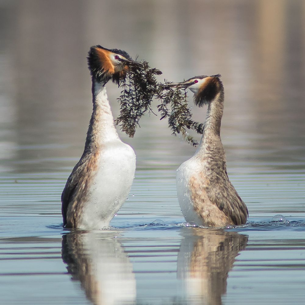 Фотография автора Суслов Дмитрий