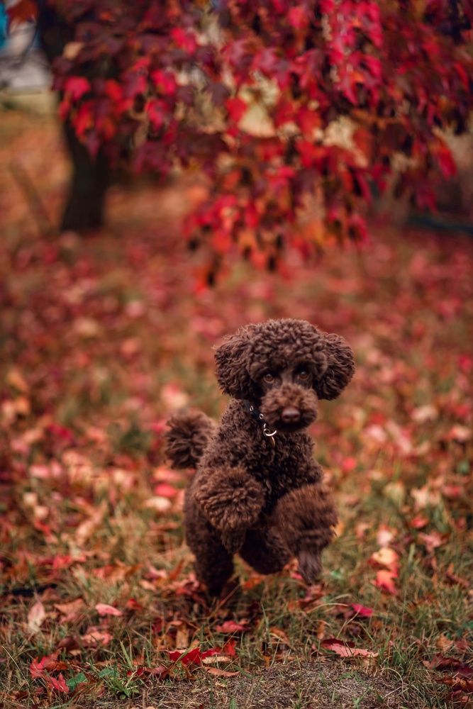 Photograph by Мария Путинцева