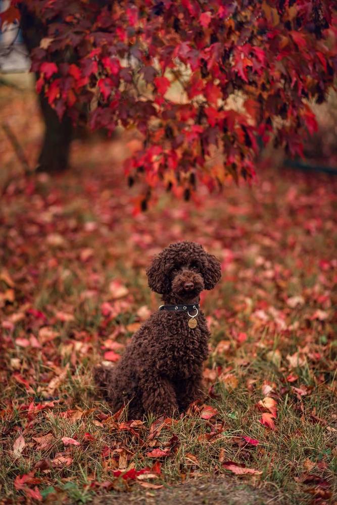 Photograph by Мария Путинцева