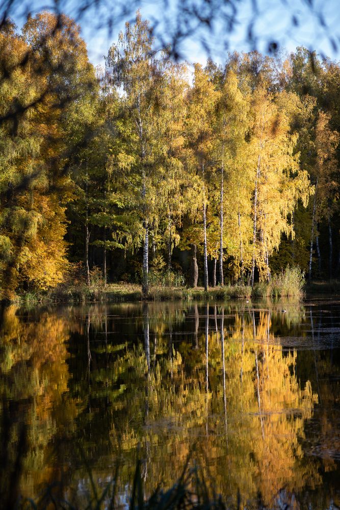 Photograph by Роза Нургалина