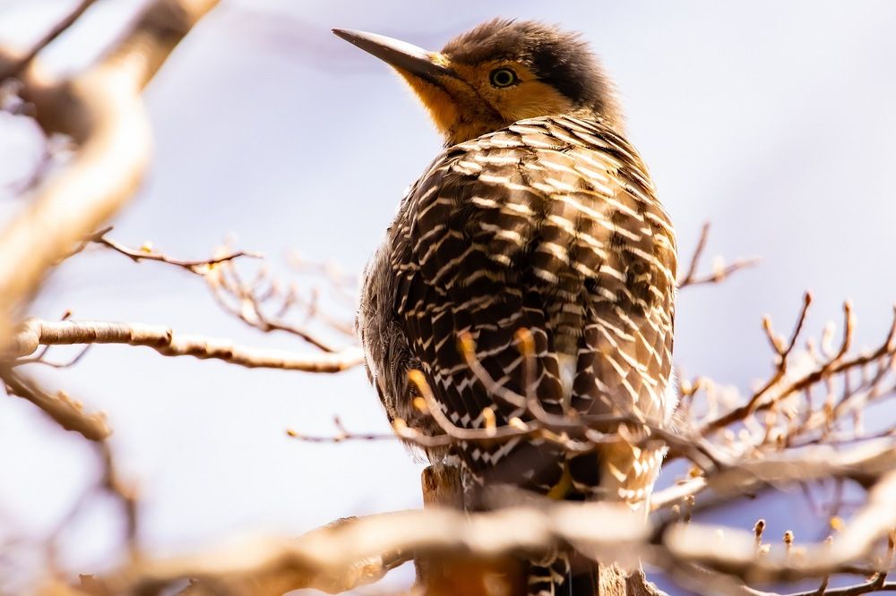 Photograph by elieser barbosa