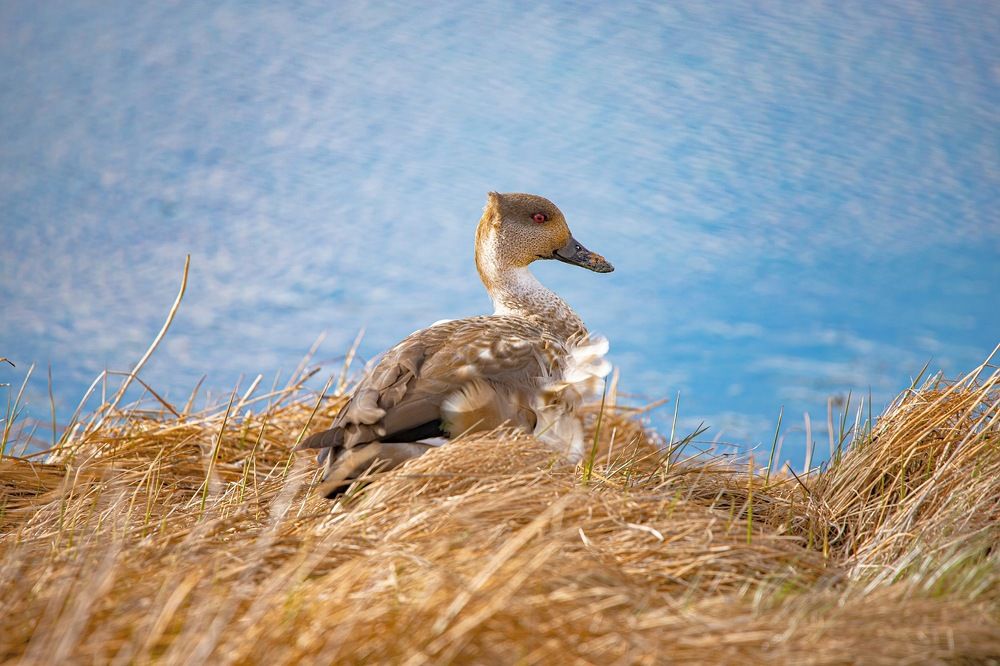 Photograph by elieser barbosa