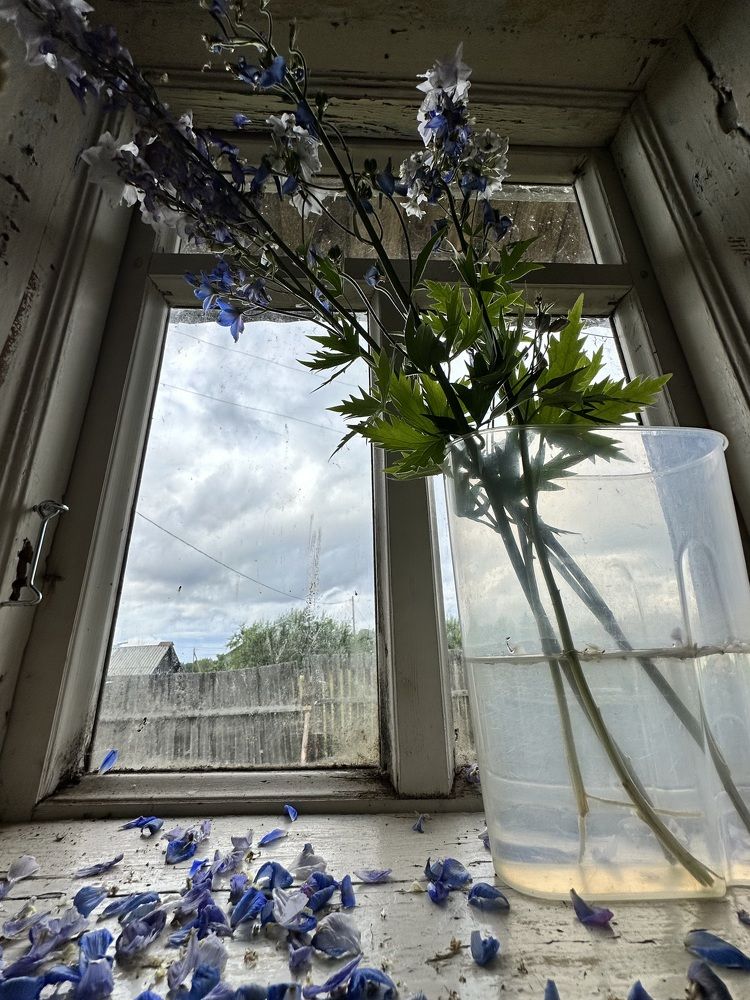 Photograph by Екатерина Карвасарская