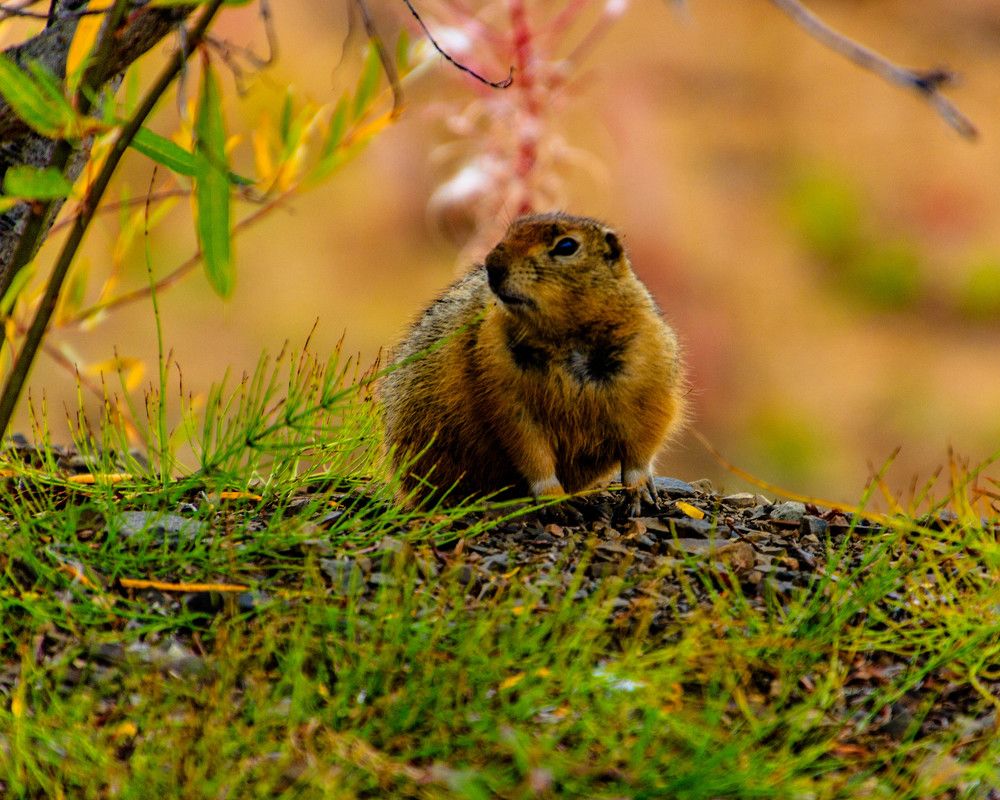 Photograph by Павел Лаврухин