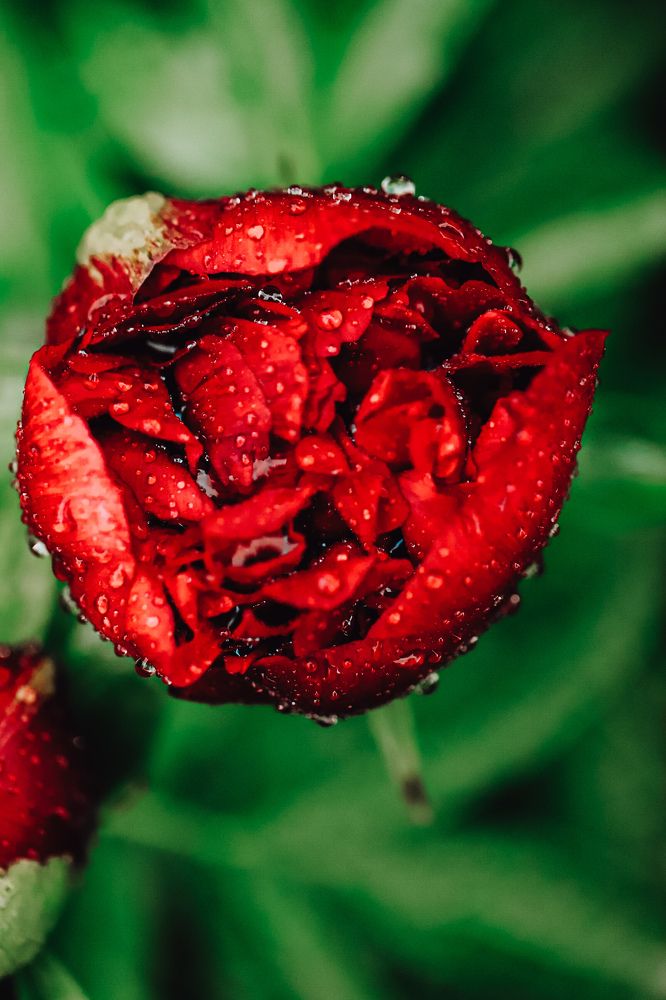 Фотография автора Олеся Шипихина