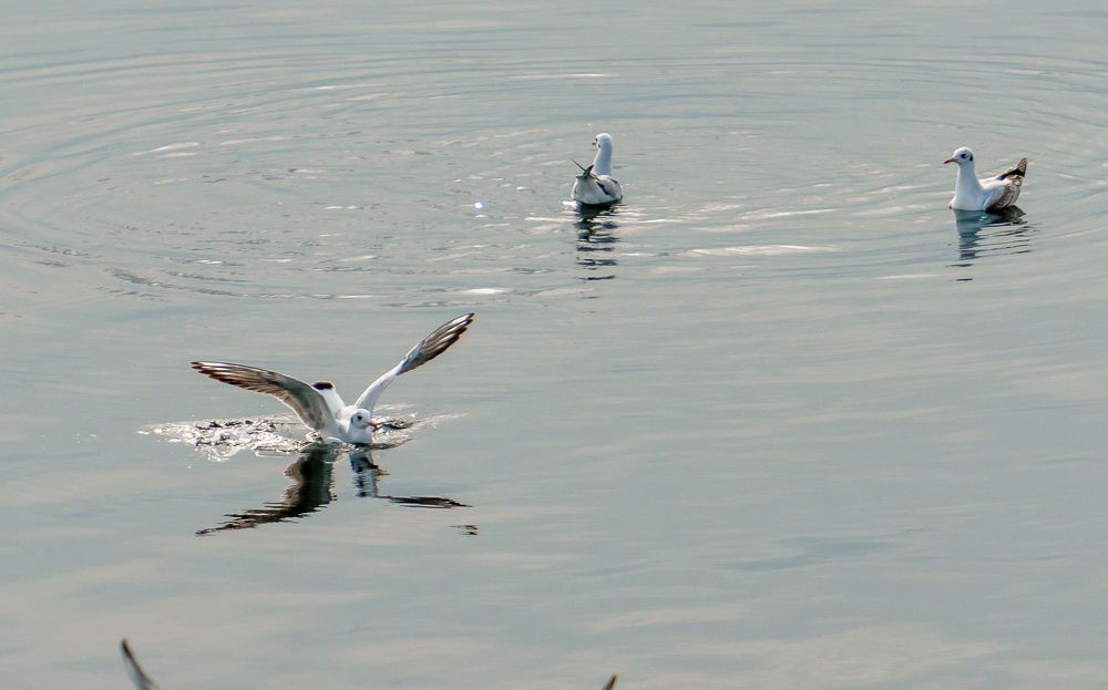 Фотография автора Алексей Клоков