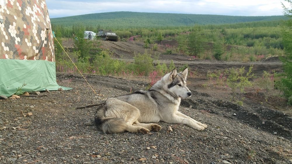 Photo #11185827