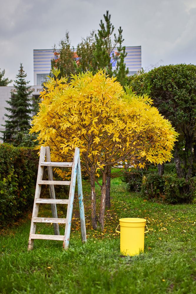 Фотография автора Игорь Попов