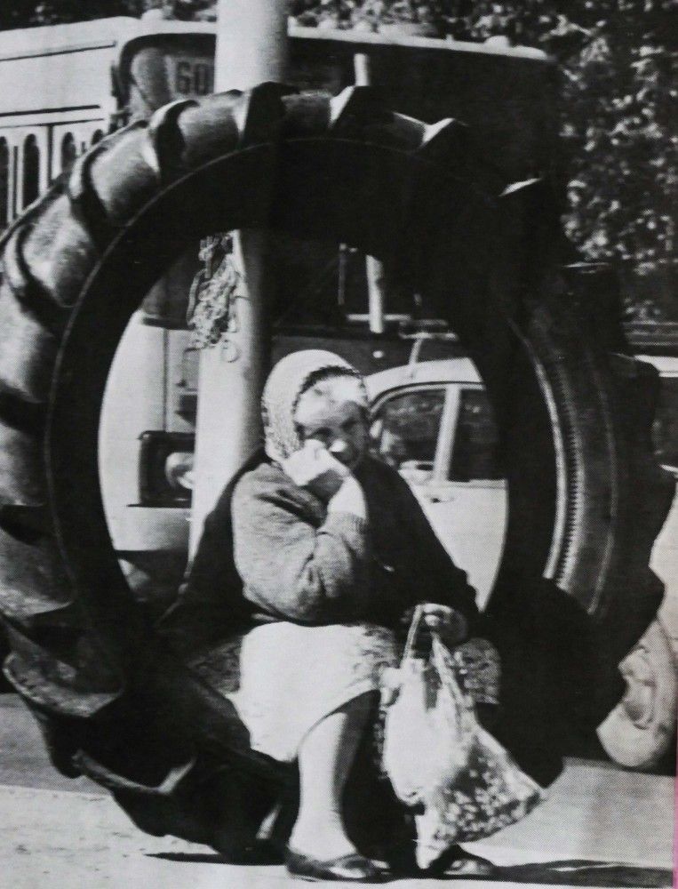 Photo #11185842