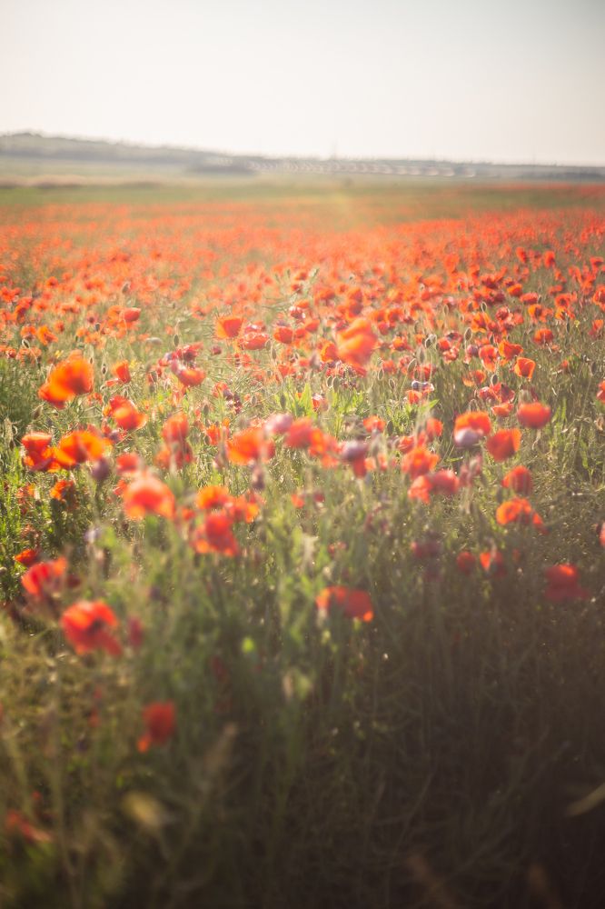 Photograph by Филипп Бабенко