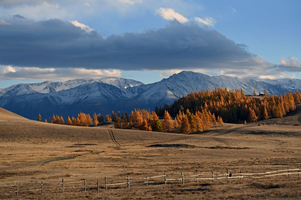 Photograph by Виталий Попов