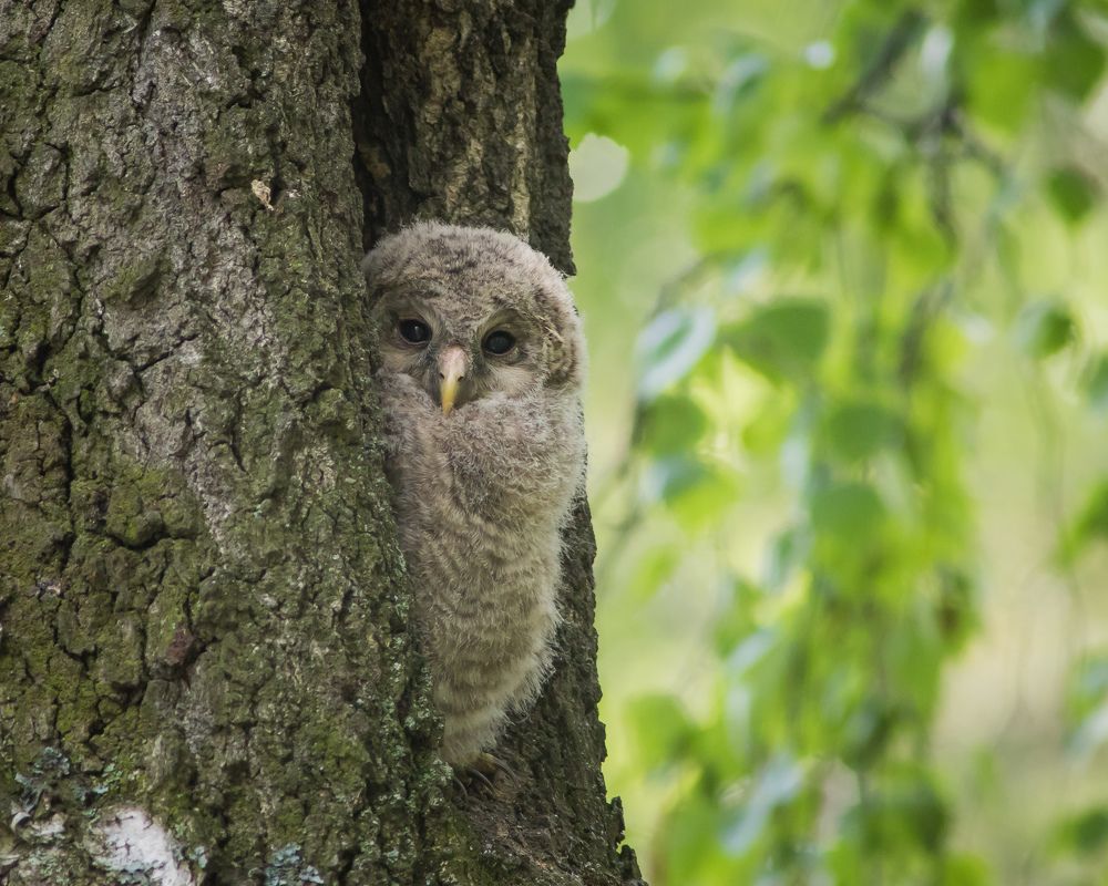 Фотография автора Суслов Дмитрий