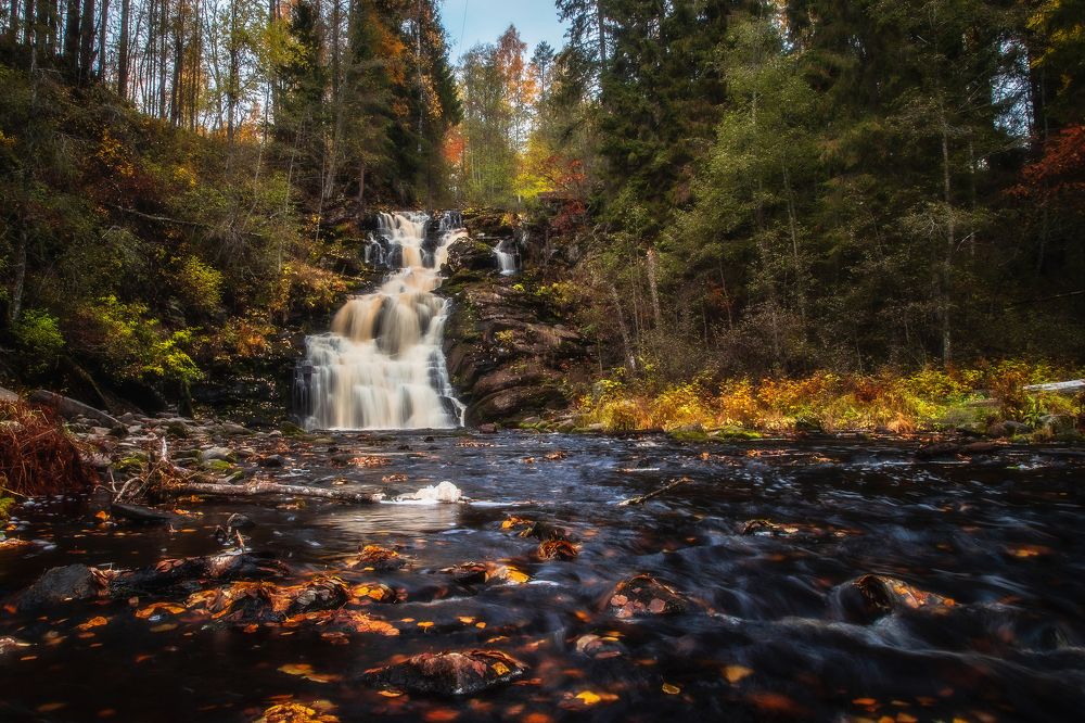 Photograph by Кормашова Татьяна