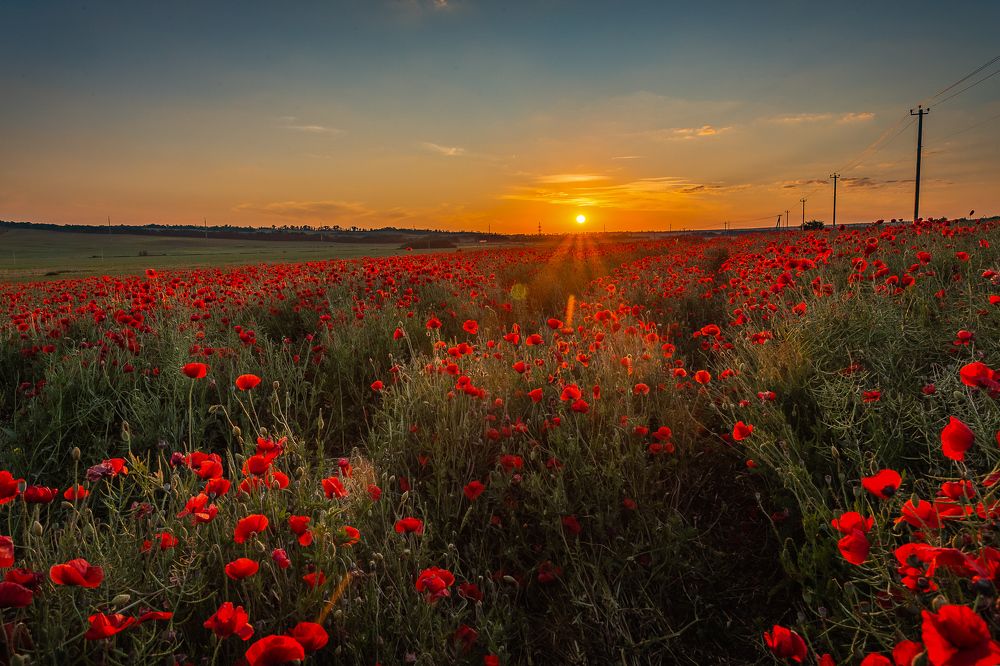 Photograph by Филипп Бабенко