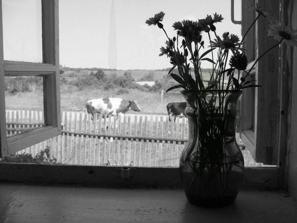 Фотография автора Павел Попов