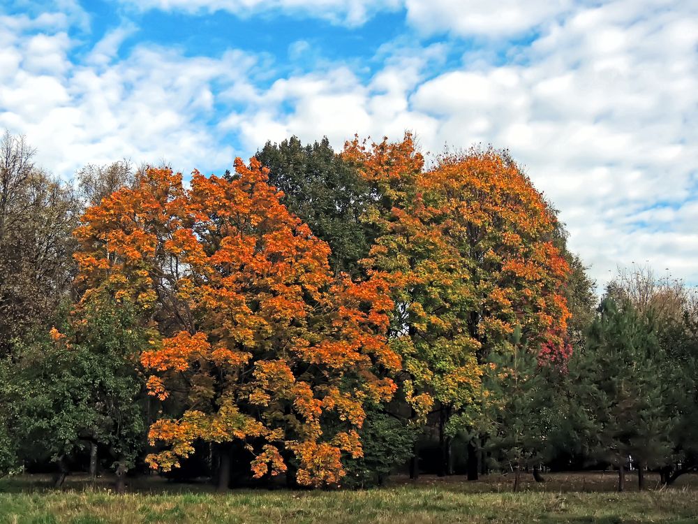 Photograph by Михаил Малец