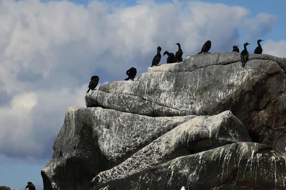 Photograph by Евгения Казакова