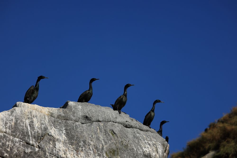 Photograph by Евгения Казакова