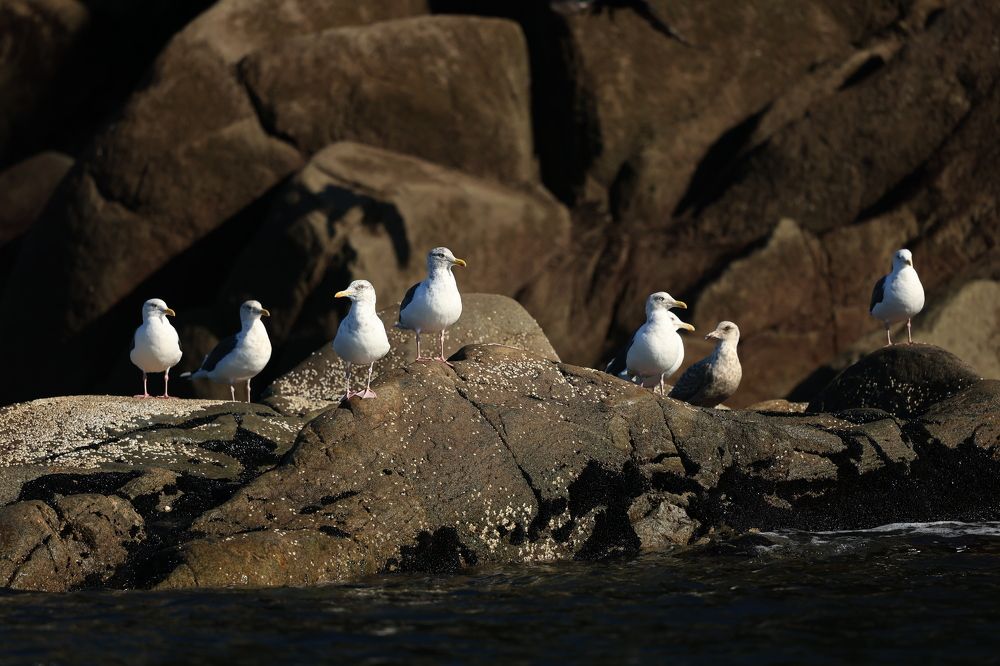 Photograph by Евгения Казакова