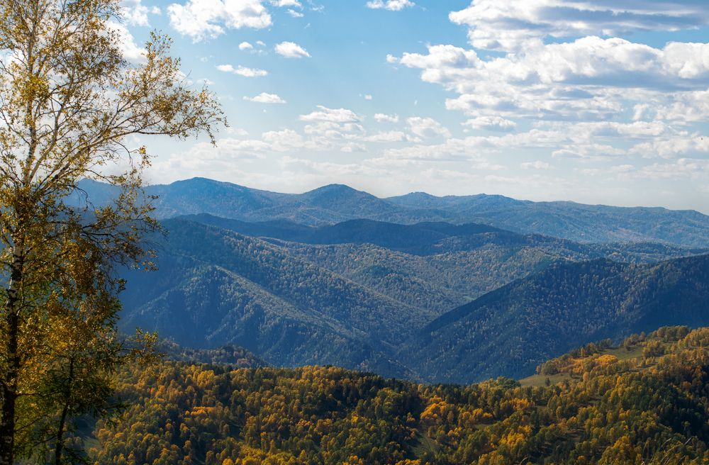 Россия, с. Манжерок