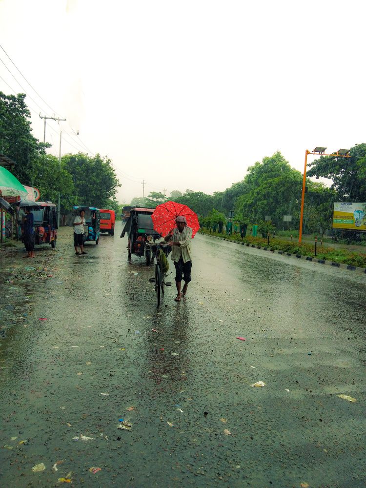Photo #11185926