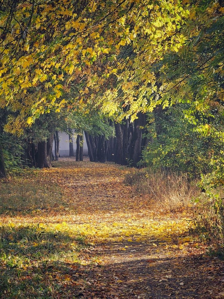 Ничего, кроме света, на свете и нет.