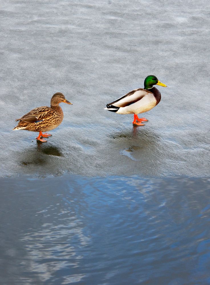 Photograph by Nadezda Sarap