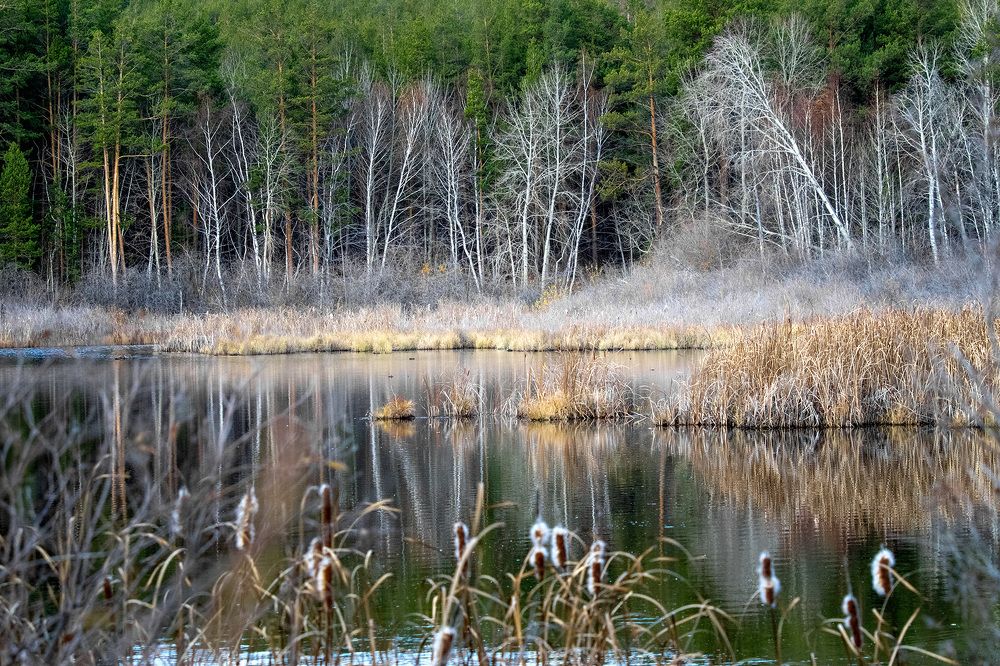 Photograph by Олег Беспалов