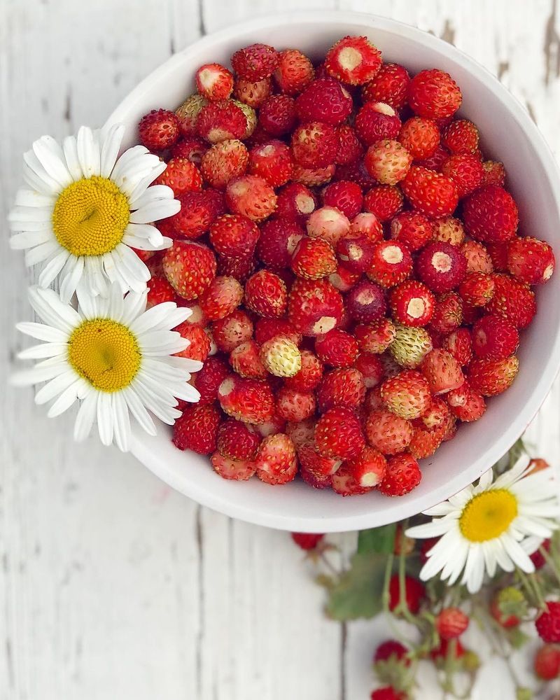 Photograph by Татьяна Волохова