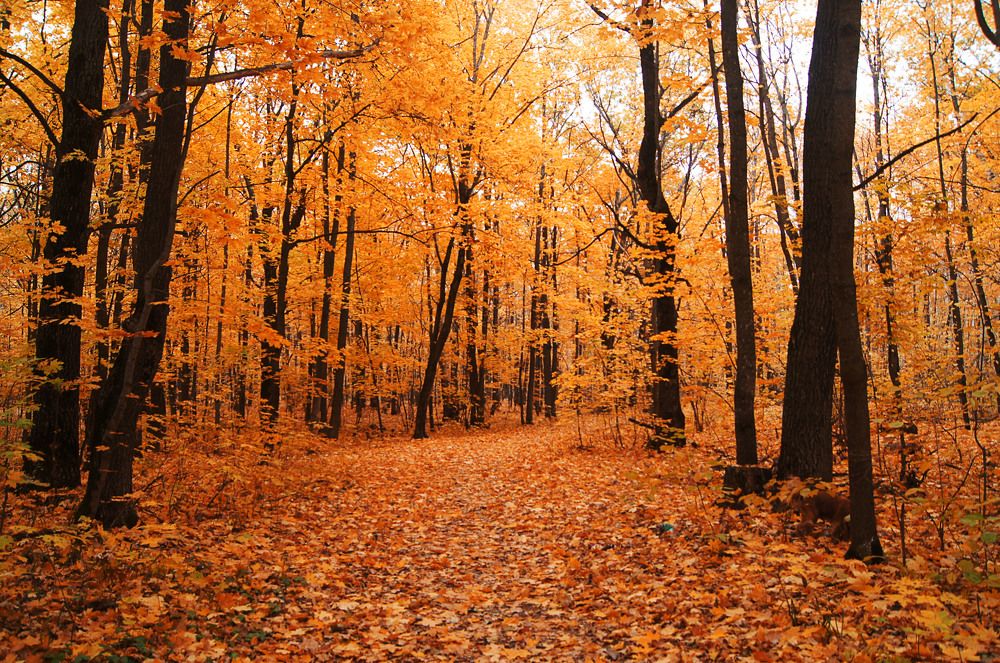 Photograph by Наталья Ильичёва