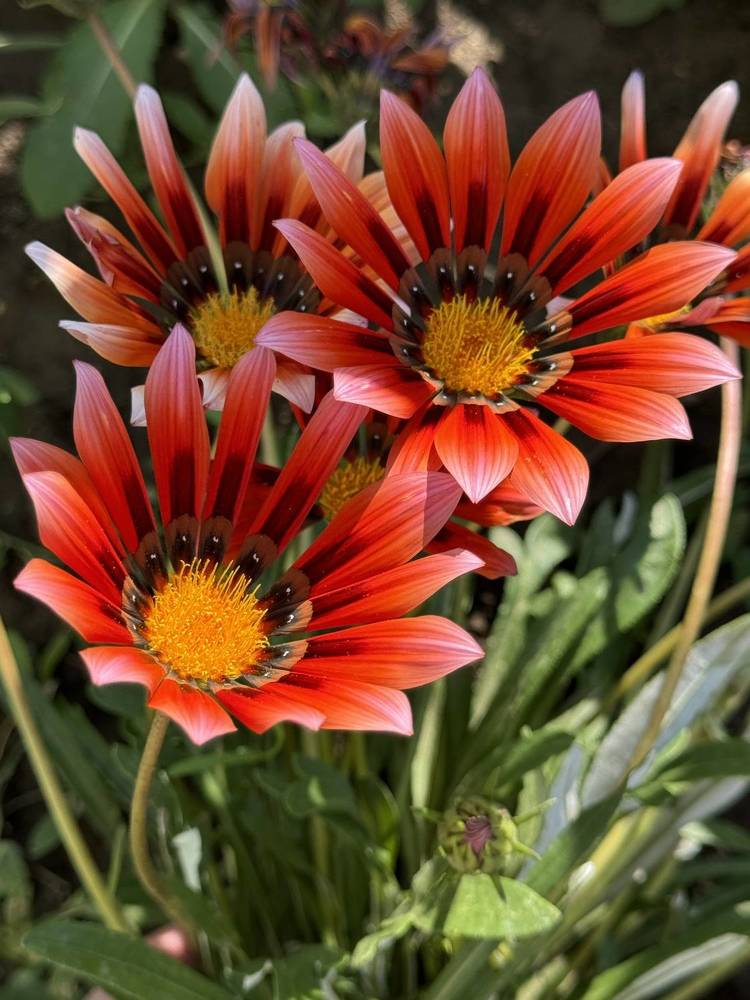 Photograph by Елена Смирнова