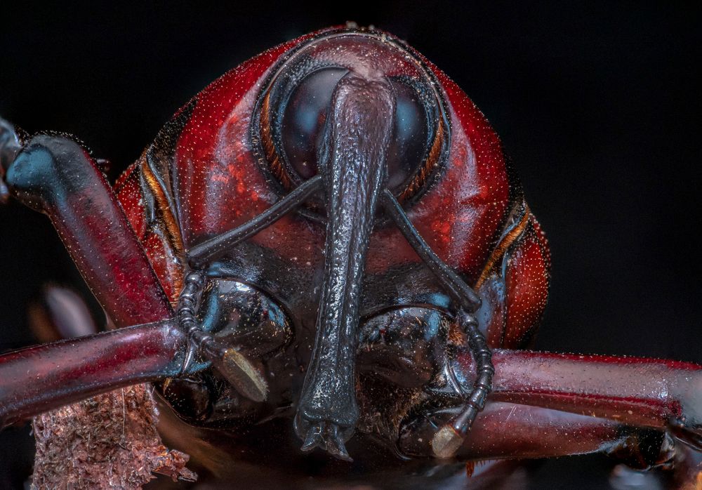 Photograph by Celis Norman