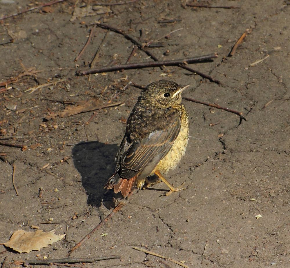 Фотография автора Кухта Мария