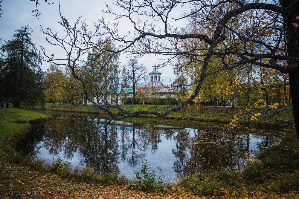 Фотография автора Татьяна Степанова