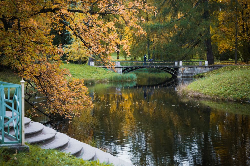 Фотография автора Татьяна Степанова