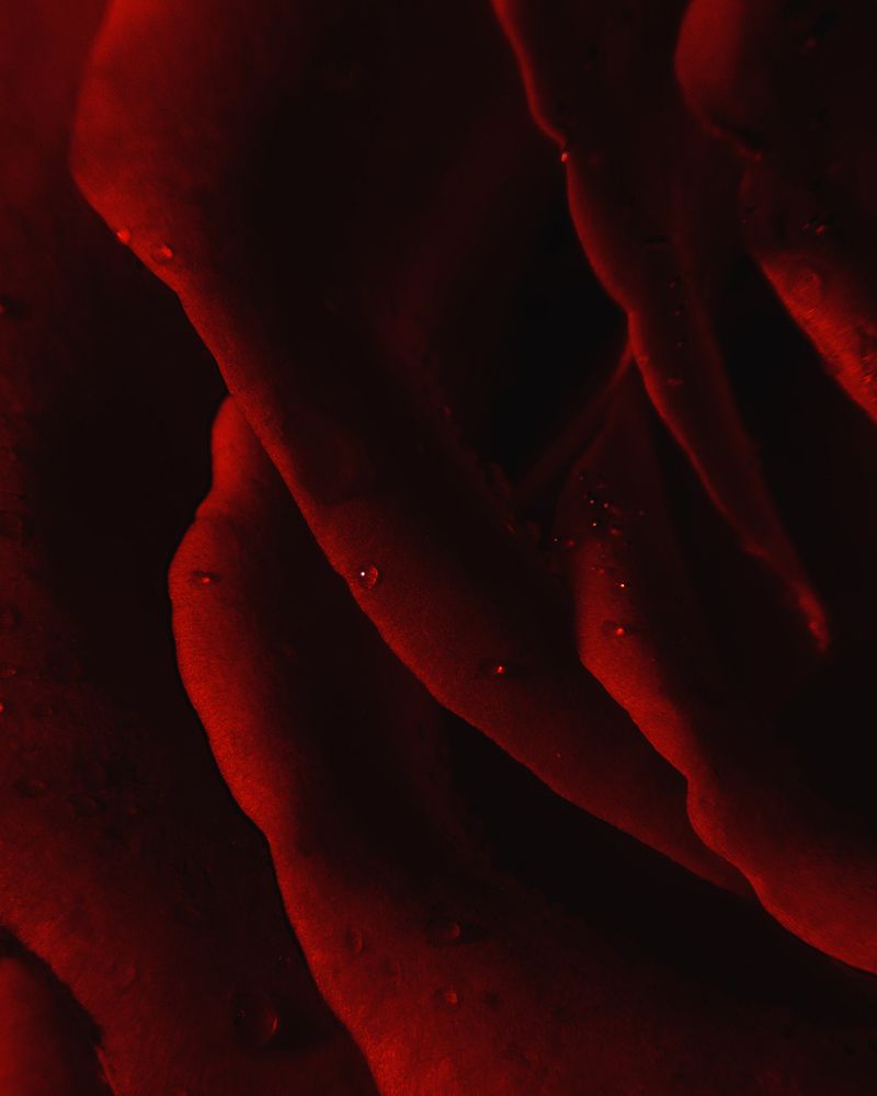 Photograph by Maryam Jassim