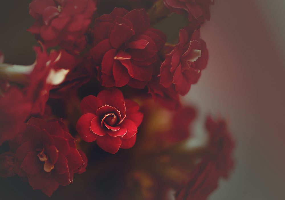 Photograph by Maryam Jassim