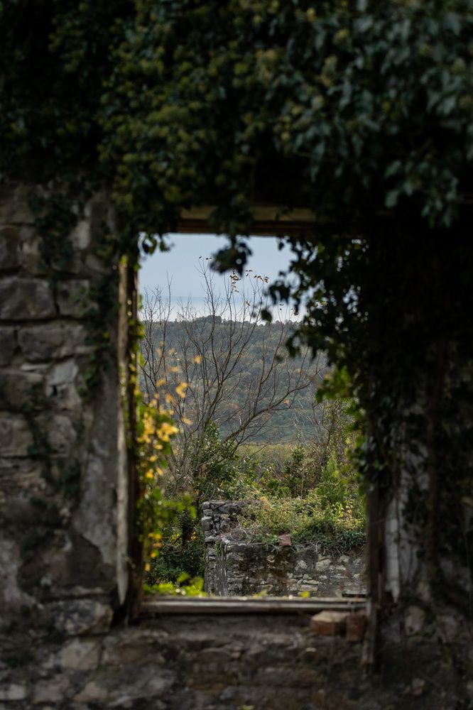 Фотография автора Fallen Angel