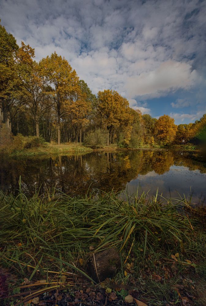 Фотография автора Sergey Smorchkov