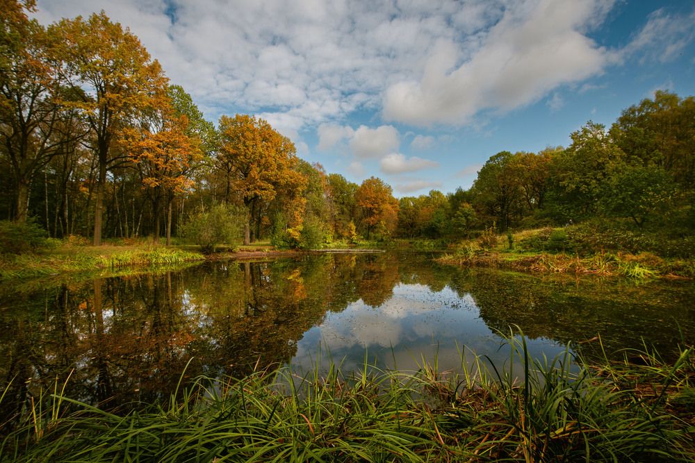 Фотография автора Sergey Smorchkov