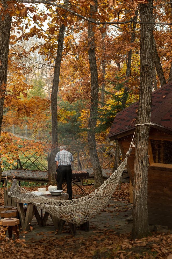 Фотография автора Оксана Вальянина