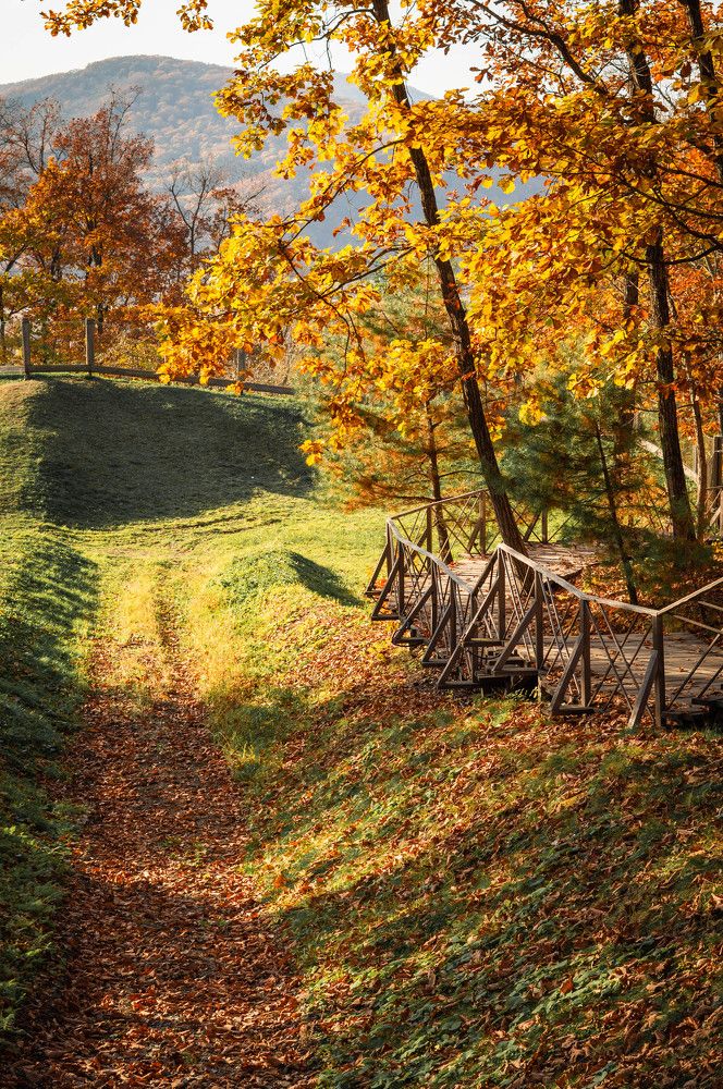 Фотография автора Оксана Вальянина