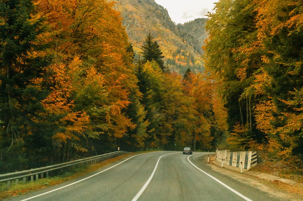 Photograph by EKATERINA WALTER