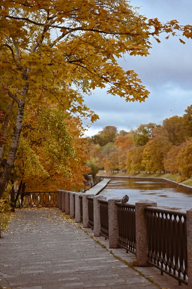 Photograph by Светлана Фатнева