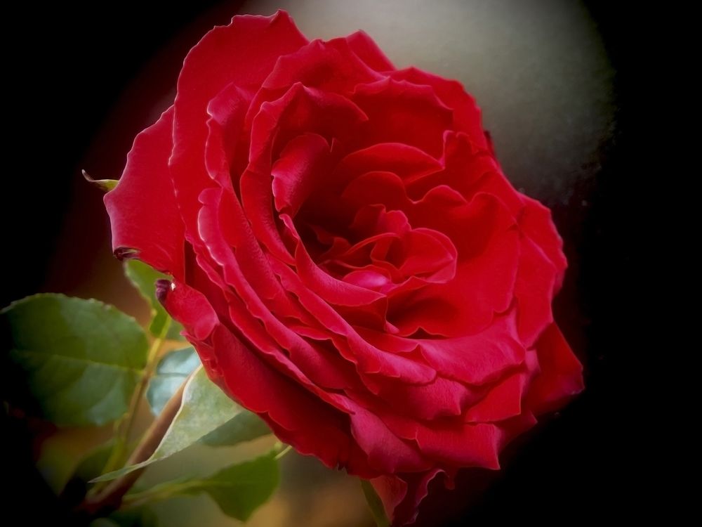 Photograph by Jasna Dragun