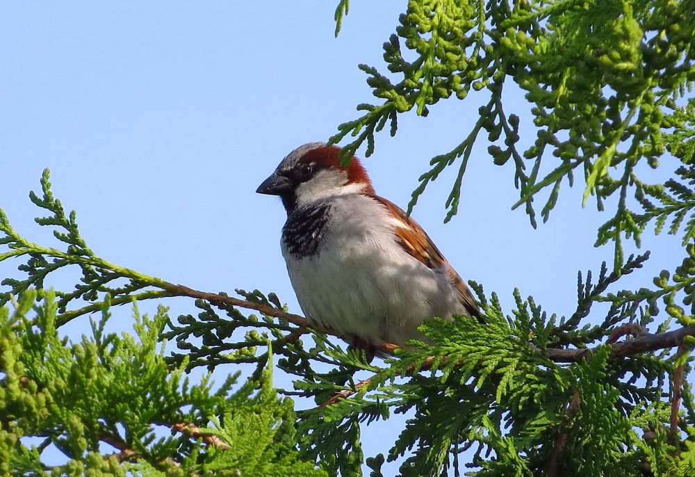Фотография автора Razgulyaev Aleksandr