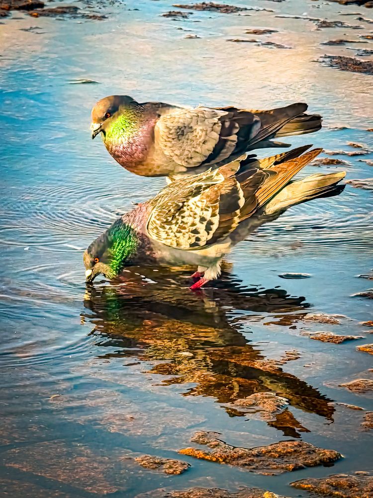 Фотография автора Walfrido Alexandre