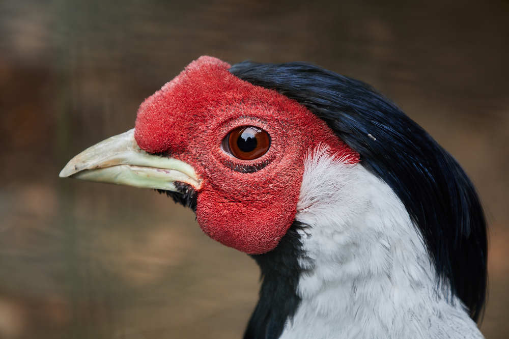 Фотография автора Ekaterina Palant