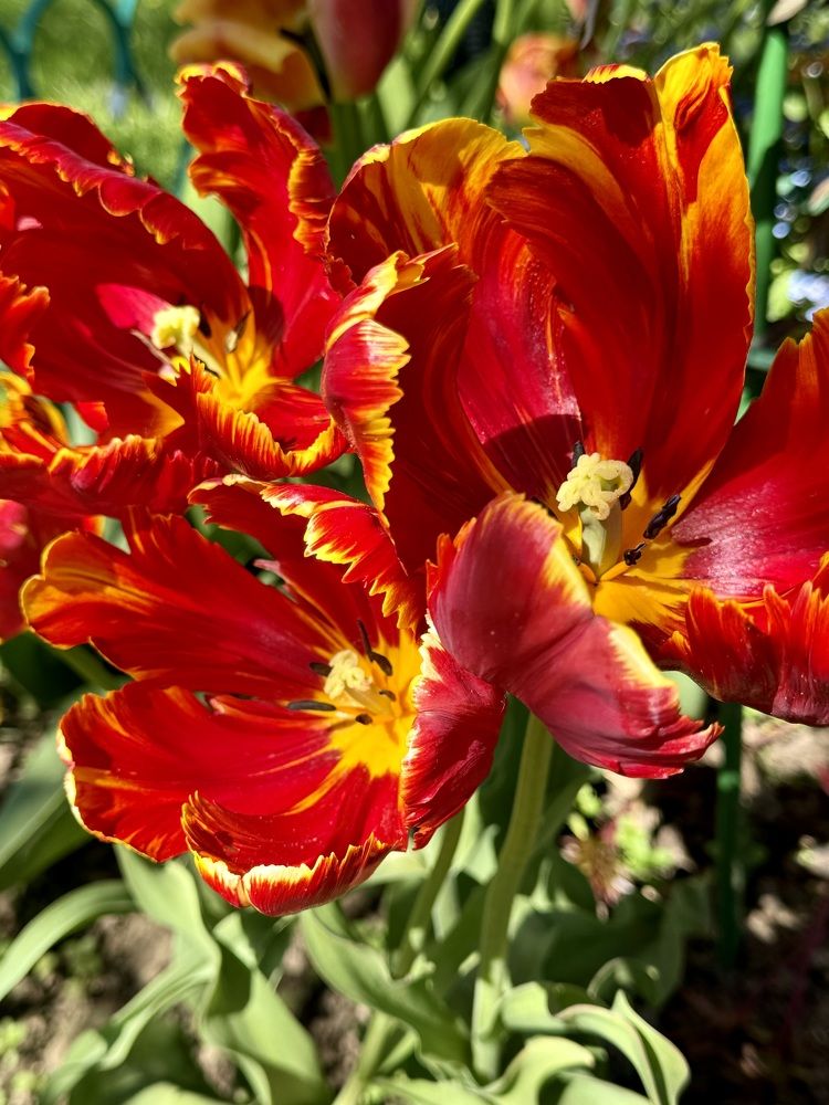 Photograph by Елена Смирнова