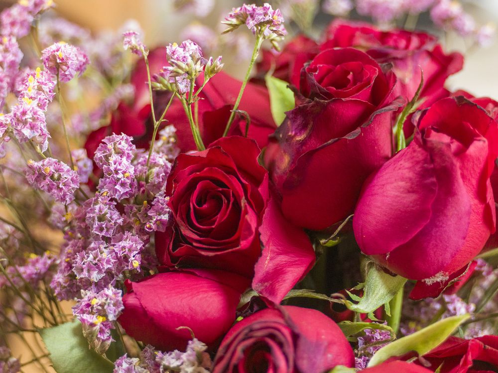 Photograph by Armando López-Guerrero